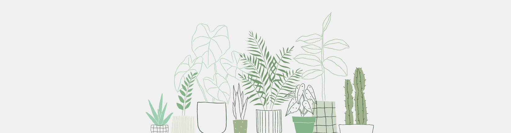 Banner About