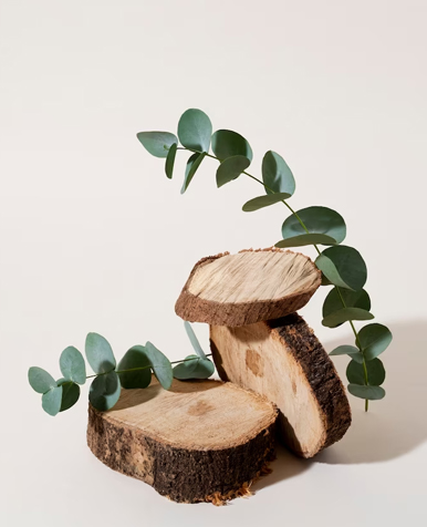 Blog Image 2